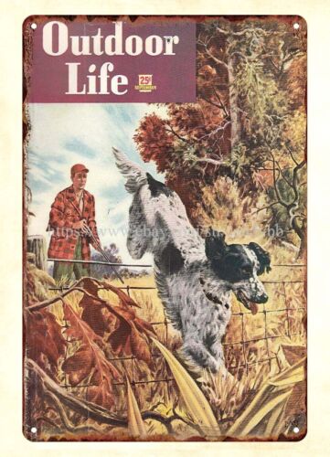in home decor 1948 OUTDOOR LIF – обзор и цена Hunting Dog Outdoor