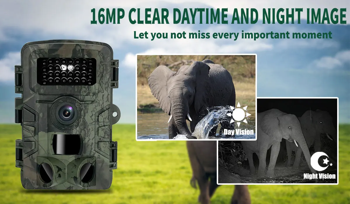 Hunting Trail Camera PR700 wit – обзор и цена Trail Camera Infrared