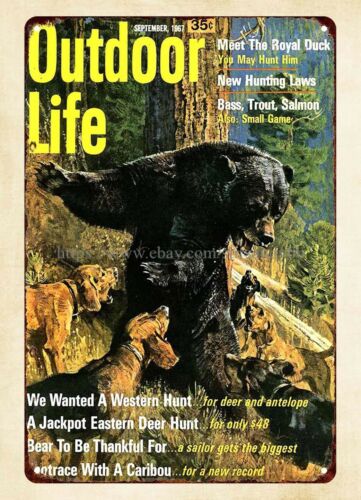 office wall decor 1967 Outdoor – обзор и цена Hunting Dog Outdoor
