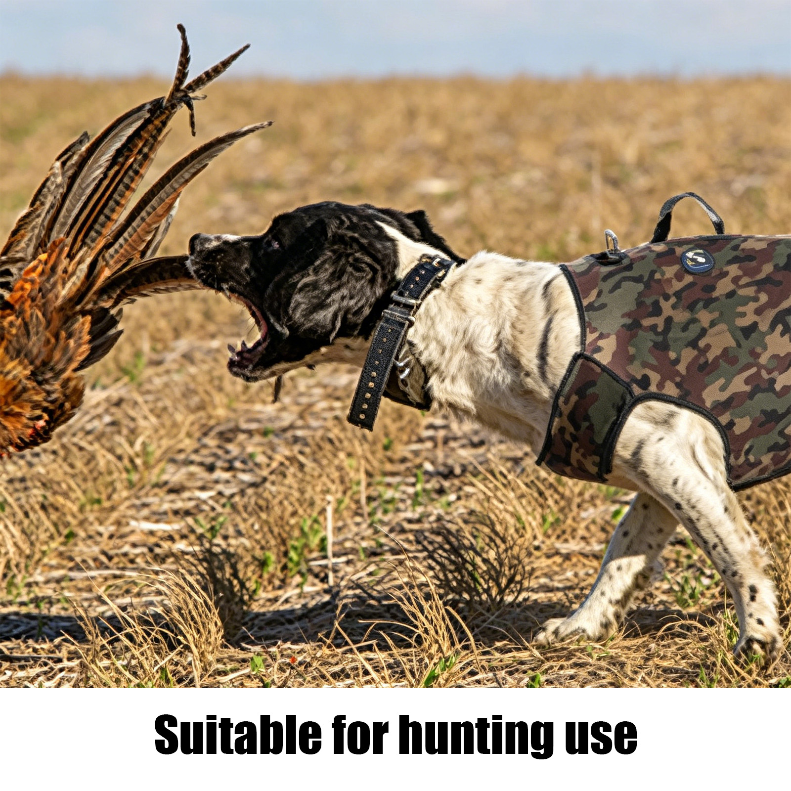 Camouflage Hunting Dog Clothes – обзор и цена Hunting Dog Outdoor
