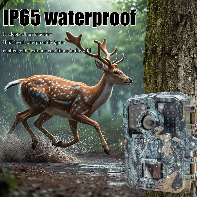 Trail Camera 16MP 1080P Waterp – обзор и цена Trail Camera Infrared