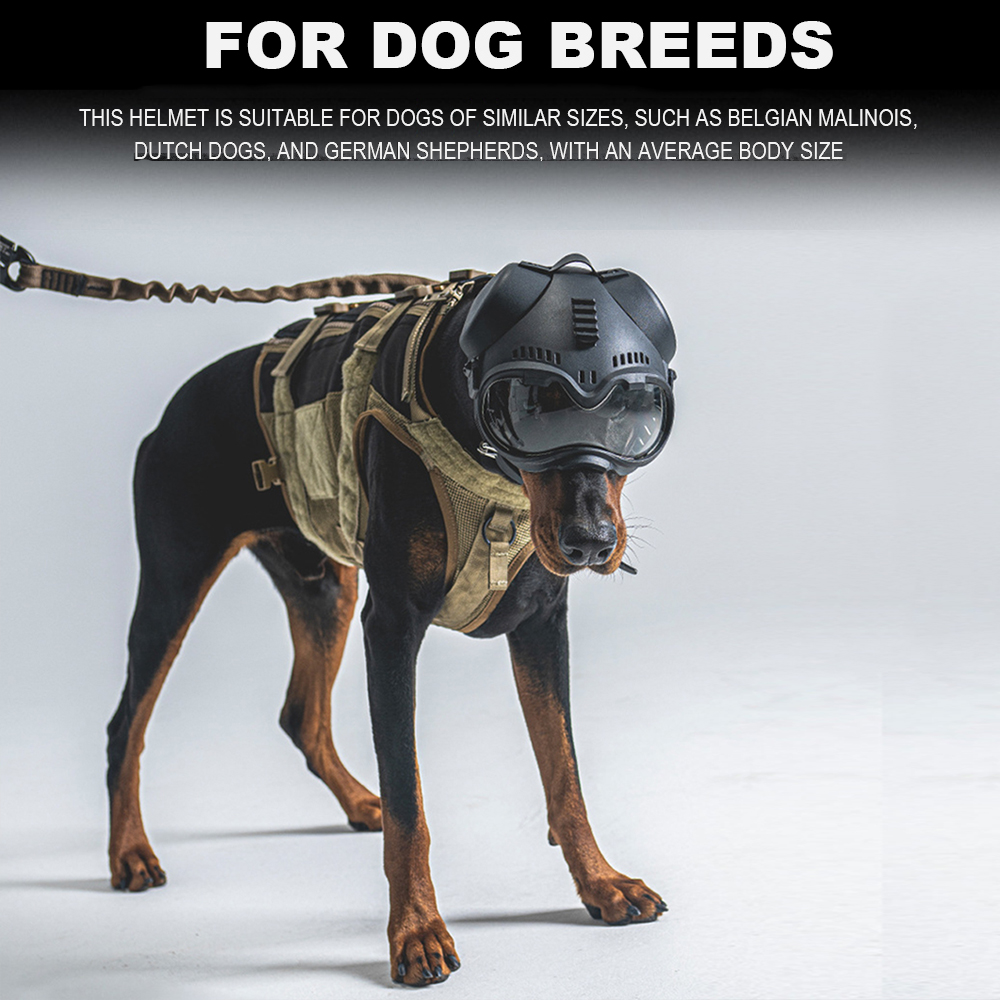 Tactical Dog Helmet K9 Protect – обзор и цена Hunting Dog Outdoor