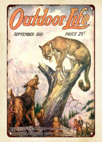 buy wall 1921 OUTDOOR LIFE mag – обзор и цена Hunting Dog Outdoor