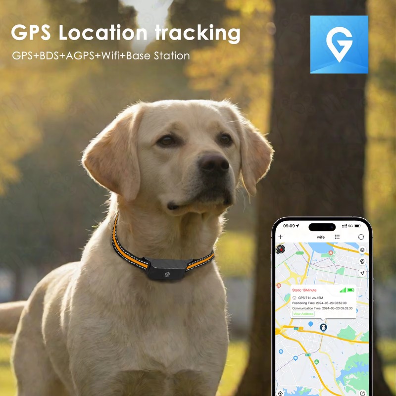 Dog GPS Tracker Outdoor Campin – обзор и цена Hunting Dog Outdoor