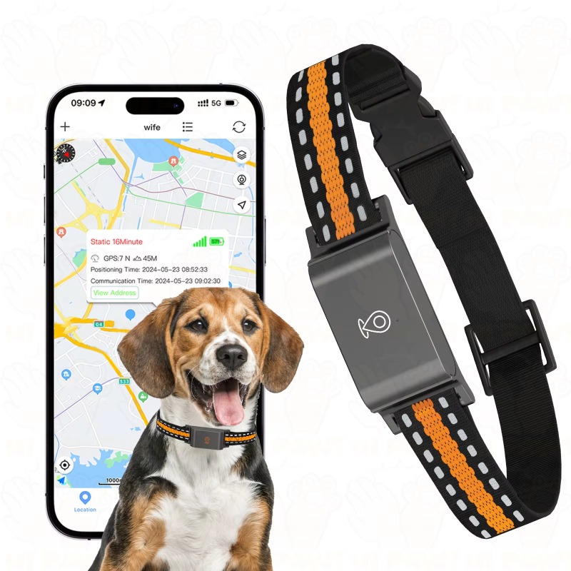 Dog GPS Tracker Outdoor Campin – обзор и цена Hunting Dog Outdoor